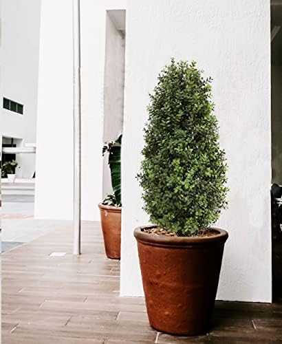 Artificial Topiary Boxwood Tree 2 Pack Faux Plants 35 Inch Set