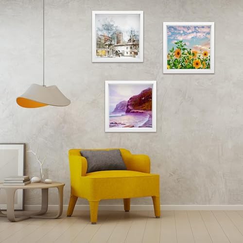 4 Pack 8x8in Shadow Box Frames for Photos Crafts and Memories