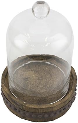 Stonebriar 9 Inch Clear Glass Dome Cloche with Wood Base