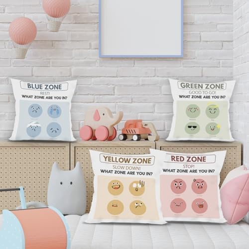 FLDAS Zones of Regulation Pillow Covers Set of 4