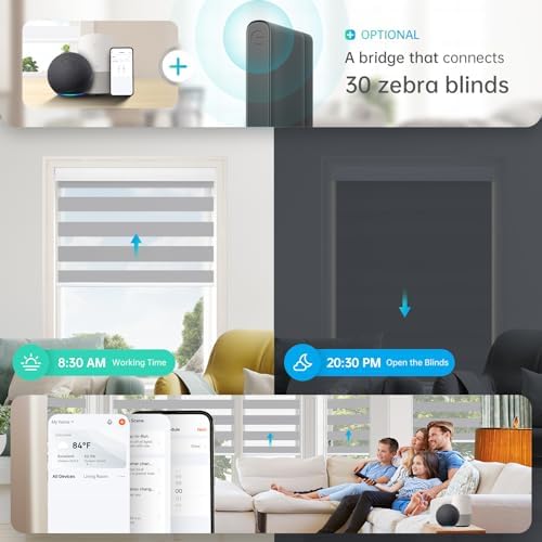 DENFOON Solar-Powered Motorized Zebra Blinds Remote Control Horizontal Shades