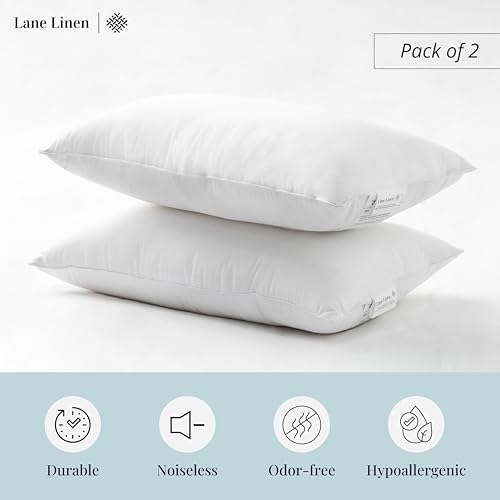 LANE LINEN 12x20 Throw Pillow Inserts - Pack of 2