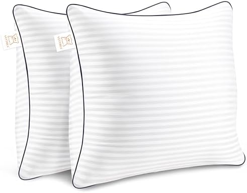 Yettbea Throw Pillow Insert Set of 2 18 x 18 White 1