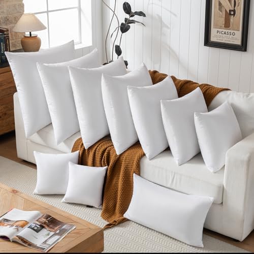 Basic Home 18x18 Feather Down Pillow Inserts Set of 2 White