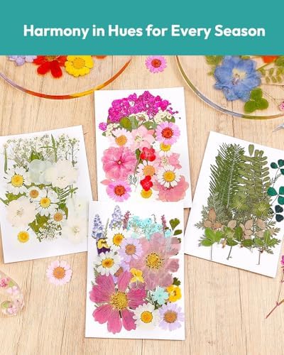 Resiners 100Pcs Dried Flowers for Crafts