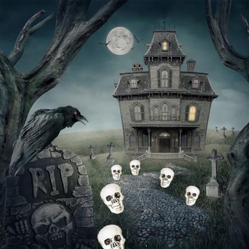 Northlight 6 Pack Skeleton Skull Heads Halloween Decorations