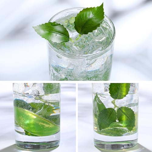 LuluCircle Mojito Cocktail Display Set