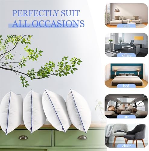 Wuuyuef 12 x 20 Pillow Insert Set of 2