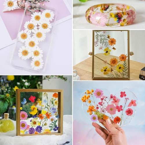 190 Pcs Dried Pressed Flowers for Resin Crafts