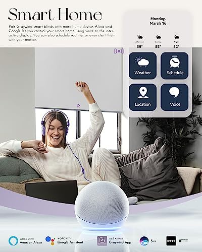 Graywind Smart Roller Shades with Alexa Google Support