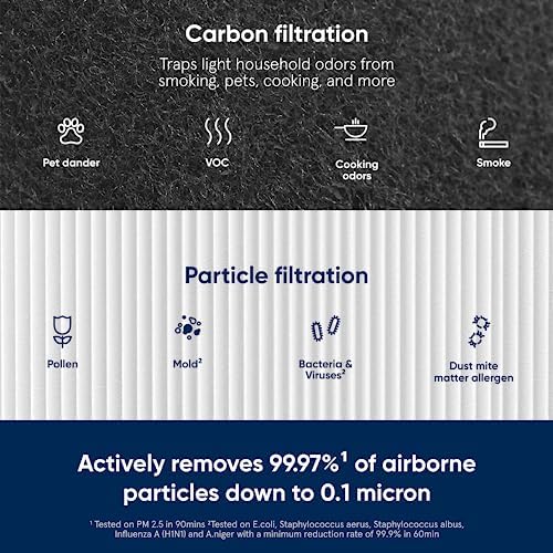 BLUEAIR 211 Replacement Filter - Particle Activated Carbon