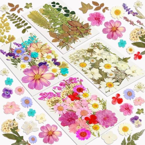 Resiners 100Pcs Dried Flowers for Crafts