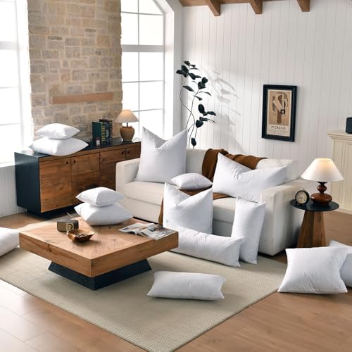 Basic Home 18x18 Feather Down Pillow Inserts Set of 2 White