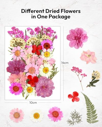 Resiners 100Pcs Dried Flowers for Crafts