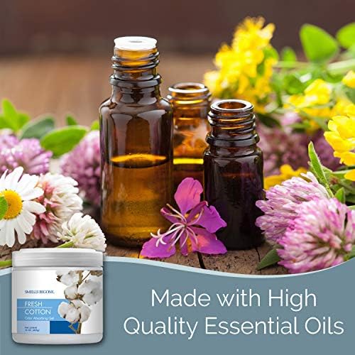 SMELLS BEGONE 15 oz Odor Absorber Gel with Essential Oils