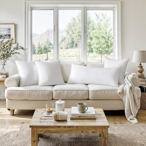 MIULEE 20x20 Pillow Inserts Set of 2 - 100 Cotton