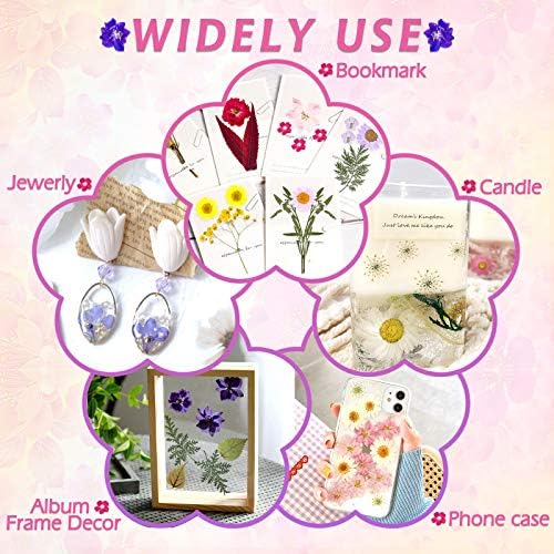 Cruzix 140 Pcs Dried Pressed Flowers Kit for Resin Art 1