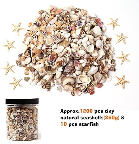HAPY SHOP 1200 Pieces Tiny Sea Shells Starfish Set