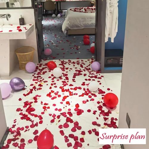 CODE FLORIST Dark-Red Silk Rose Petals 2200 PCS