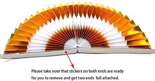 ADLKGG Party Hanging Paper Fans Set of 6