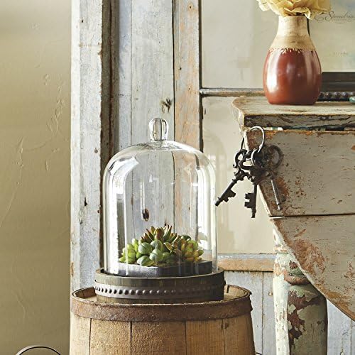 Stonebriar 9 Inch Clear Glass Dome Cloche with Wood Base