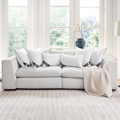 MIULEE 18x18 Pillow Inserts Set of 2 Throw Pillow Fillers