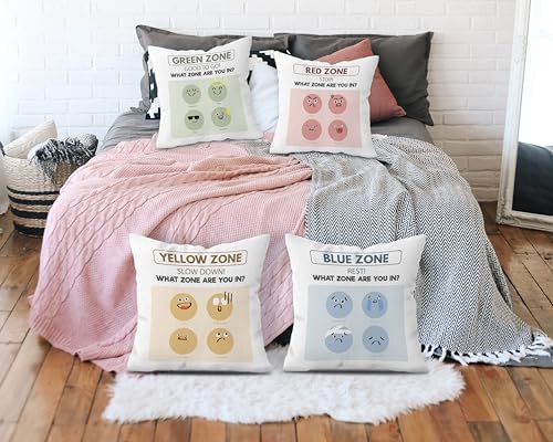 FLDAS Zones of Regulation Pillow Covers Set of 4