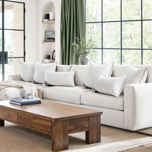 MIULEE 18x18 Pillow Inserts Set of 2 Throw Pillow Fillers