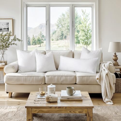 MIULEE 22x22 Pillow Inserts Set of 2 White 1
