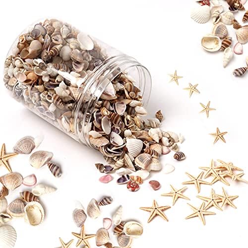 HAPY SHOP 1200 Pieces Tiny Sea Shells Starfish Set