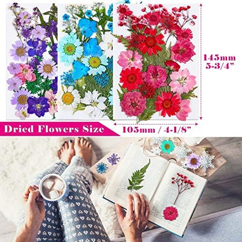 Thrilez 100Pcs Dried Pressed Flowers for Resin Crafts
