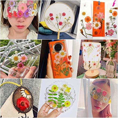 Thrilez 100Pcs Dried Pressed Flowers for Resin Crafts