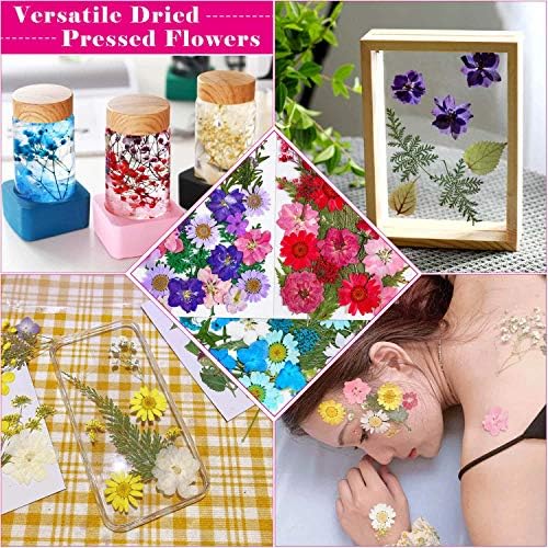 Thrilez 100Pcs Dried Pressed Flowers for Resin Crafts