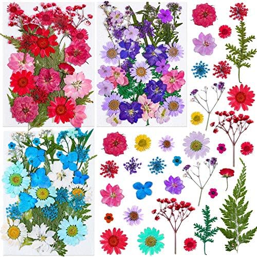 Thrilez 100Pcs Dried Pressed Flowers for Resin Crafts