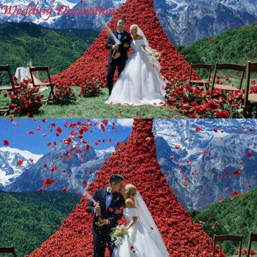 CODE FLORIST Dark-Red Silk Rose Petals 2200 PCS