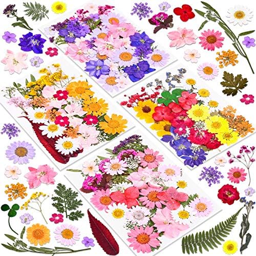 Cruzix 140 Pcs Dried Pressed Flowers Kit for Resin Art 1