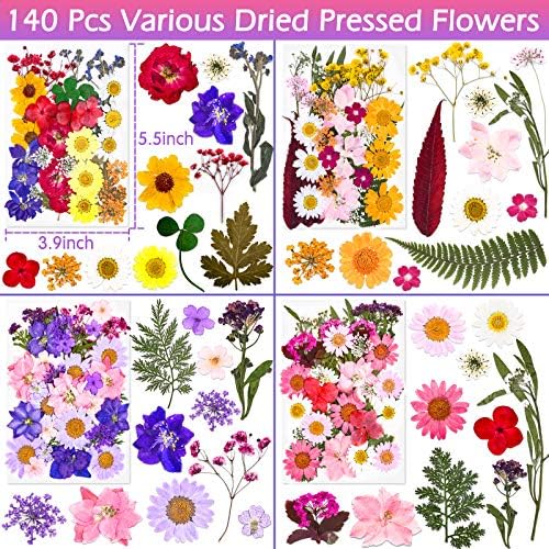 Cruzix 140 Pcs Dried Pressed Flowers Kit for Resin Art 1