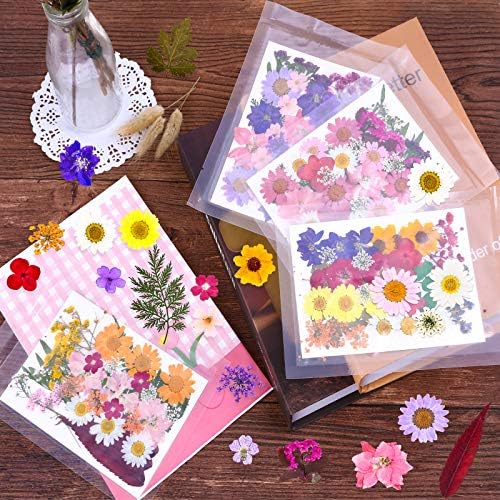 Cruzix 140 Pcs Dried Pressed Flowers Kit for Resin Art 1
